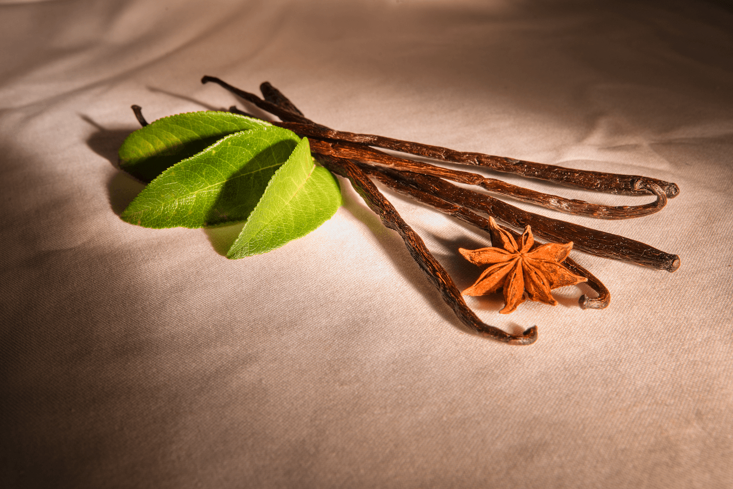 Vanilkový Lusk (1 ks)