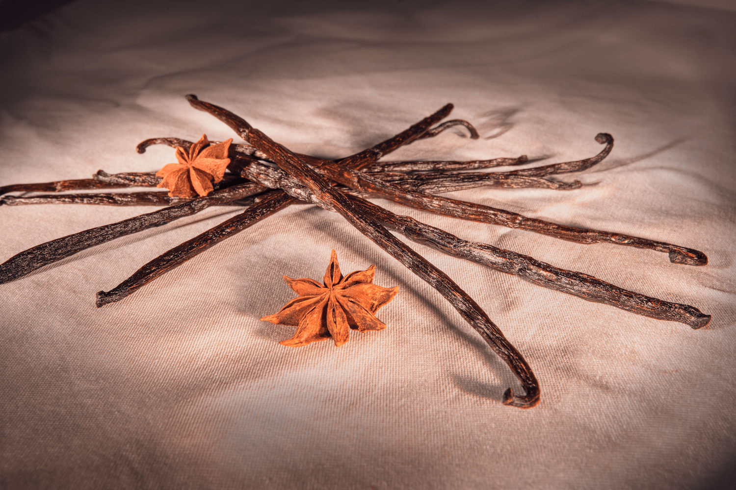 Vanilkový Lusk (1 ks)